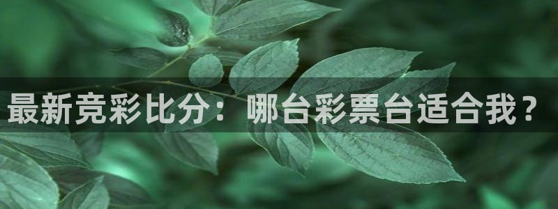 龙门nba直播